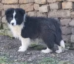 Slika 3