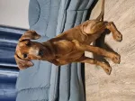 Slika 3