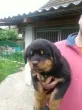 Slika 3