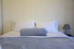Slika 1