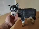 Slika 4