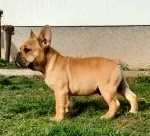 Slika 3