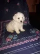 Slika 2