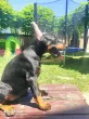 Slika 3