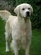 Slika 6