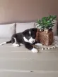 Slika 2