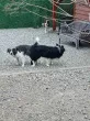 Slika 6