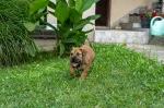 Slika 2