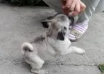 Slika 3