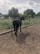 Slika 3