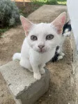 Slika 3