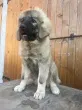 Slika 2
