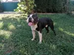 Slika 5