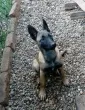 Slika 2