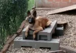 Slika 4