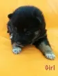 Slika 3
