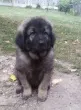 Slika 3