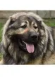 Slika 3