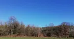 Slika 5