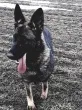 Slika 2