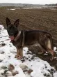 Slika 3