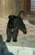 Slika 1