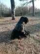 Slika 3