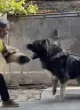 Slika 5