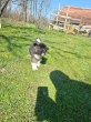 Slika 6