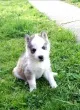 Slika 3