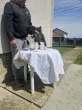 Slika 2