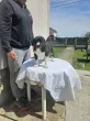 Slika 6