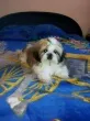 Slika 3