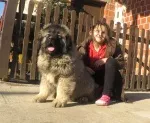 Slika 1