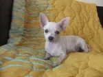 Slika 1