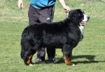 Slika 3