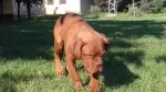 Slika 2