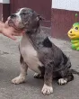 Slika 4