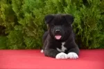 Slika 3
