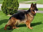 Slika 2