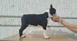 Slika 1