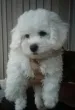 Slika 3