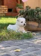 Slika 2