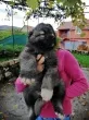 Slika 3