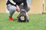 Slika 1