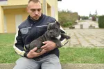 Slika 4