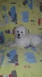 Slika 1