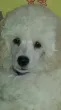 Slika 2
