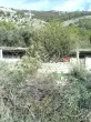 Slika 2