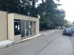 Slika 1